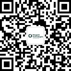 公眾號(hào)Waygate Technologies