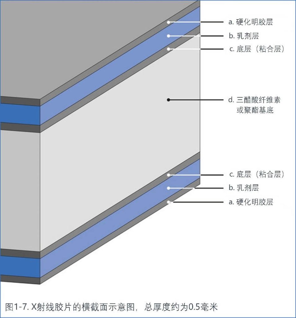 X射線膠片的橫截面示意圖，總厚度約為0.5毫米