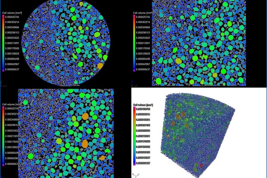 四張顯示材料細(xì)胞體積分析的圖像，包括兩個(gè)帶顏色編碼細(xì)胞大小的圓形橫截面和兩個(gè)帶顏色刻度表示不同細(xì)胞體積的3D渲染圖。