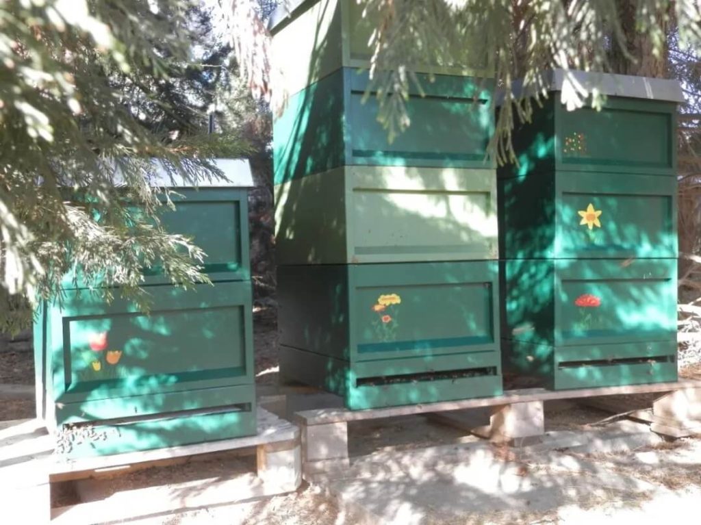 綠色蜂箱整齊排列于花園中，由貝克休斯員工家人手繪花朵圖案，象征可持續(xù)發(fā)展與自然和諧。